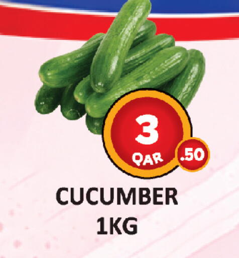 Cucumber in قطر - الشمال
