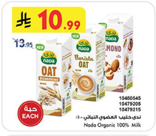 available at بن داود in مملكة العربية السعودية, السعودية, سعودية - المدينة المنورة