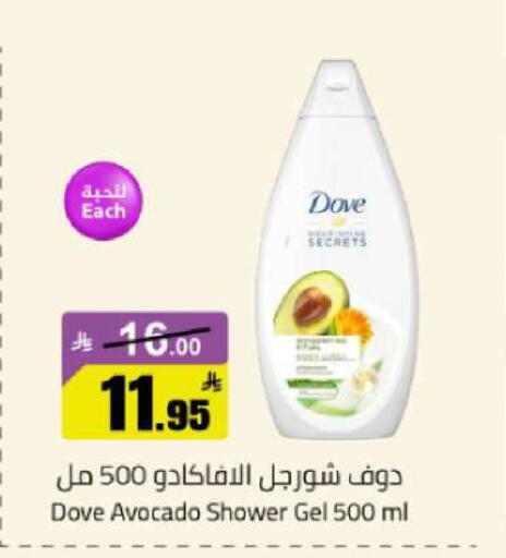 Avocado available at مخازن هايبرماركت in مملكة العربية السعودية, السعودية, سعودية - تبوك