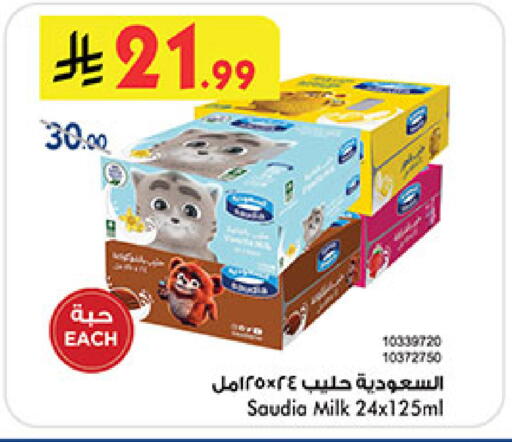 available at بن داود in مملكة العربية السعودية, السعودية, سعودية - المدينة المنورة
