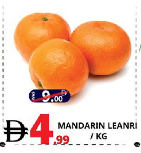 Mandarin available at EXPRESS AL MADEENA HYPERMARKET LLC in UAE - Abu Dhabi