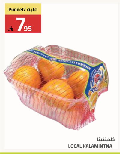 available at أسواق أسترا in مملكة العربية السعودية, السعودية, سعودية - تبوك