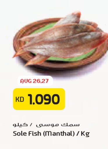 available at Grand Costo in Kuwait - Kuwait City