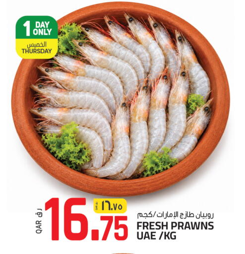 available at السعودية in قطر - الوكرة