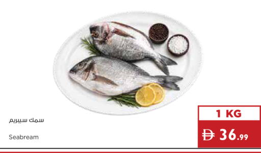 available at إسطنبول سوبرماركت in الإمارات العربية المتحدة , الامارات - أبو ظبي