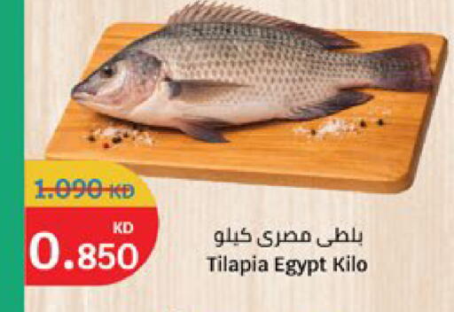 available at سيتي هايبرماركت in الكويت - مدينة الكويت