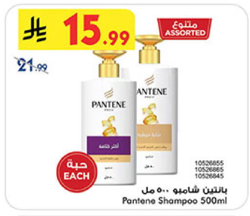 available at بن داود in مملكة العربية السعودية, السعودية, سعودية - المدينة المنورة