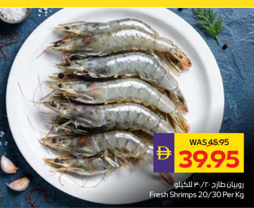 available at أدكووب in الإمارات العربية المتحدة , الامارات - أبو ظبي