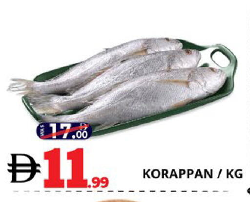 available at EXPRESS AL MADEENA HYPERMARKET LLC in UAE - Abu Dhabi