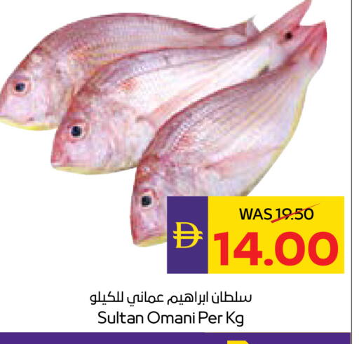 available at أدكووب in الإمارات العربية المتحدة , الامارات - أبو ظبي