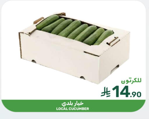 Cucumber available at  مـزايــا in مملكة العربية السعودية, السعودية, سعودية - المنطقة الشرقية