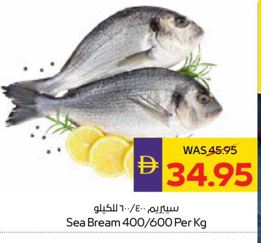 available at أدكووب in الإمارات العربية المتحدة , الامارات - أبو ظبي