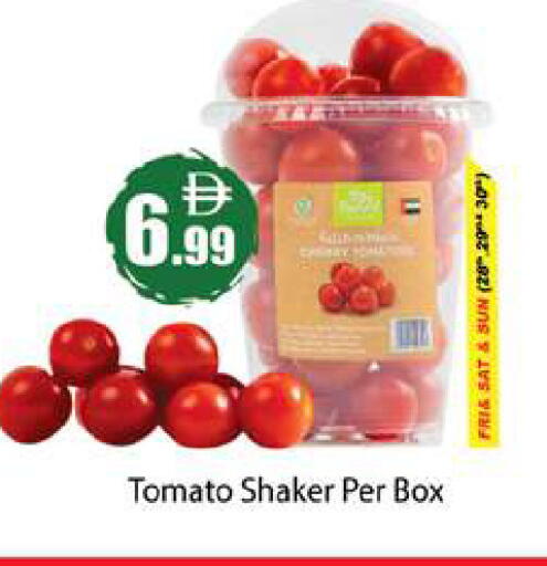Tomato available at Gulf Hypermarket LLC in UAE - Ras al Khaimah