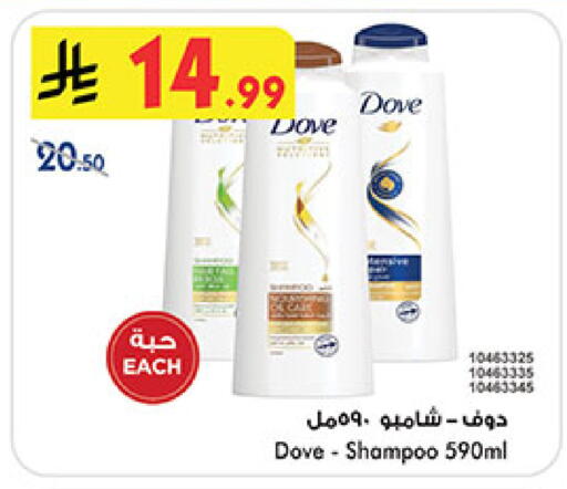available at بن داود in مملكة العربية السعودية, السعودية, سعودية - المدينة المنورة