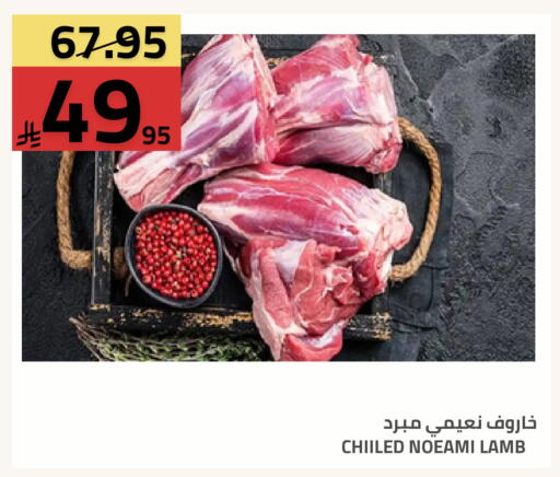 available at أسواق أسترا in مملكة العربية السعودية, السعودية, سعودية - تبوك