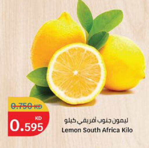 Lemon from South Africa available at City Hypermarket in Kuwait - Kuwait City