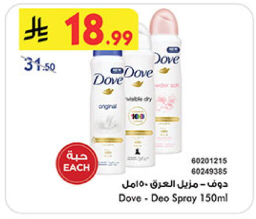 available at بن داود in مملكة العربية السعودية, السعودية, سعودية - المدينة المنورة