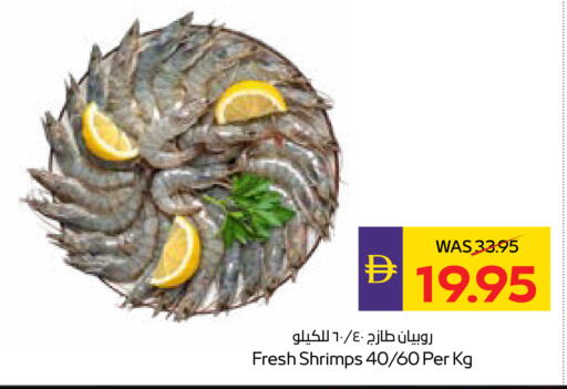 available at أدكووب in الإمارات العربية المتحدة , الامارات - أبو ظبي