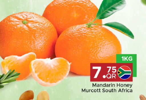 Mandarin from South Africa available at مركز التموين العائلي in قطر - الخور