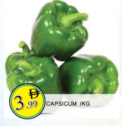 Capsicum available at المدينة in الإمارات العربية المتحدة , الامارات - الشارقة / عجمان
