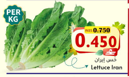 Lettuce from Iran available at Al Muzn Shopping Center in Oman - Muscat