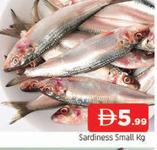 available at المدينة in الإمارات العربية المتحدة , الامارات - الشارقة / عجمان