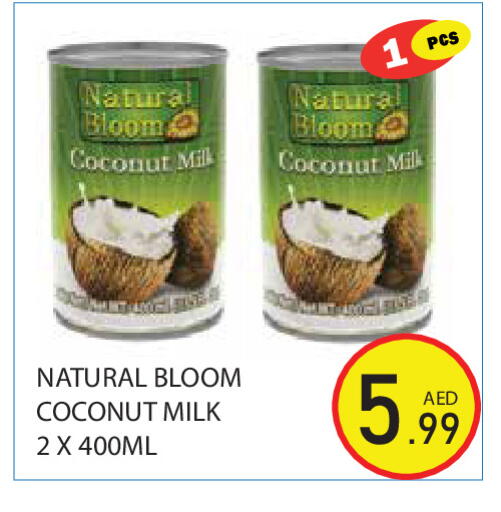 Coconut available at Baniyas Spike  in UAE - Ras al Khaimah