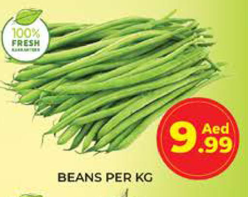 available at الامارات السبع سوبر ماركت in الإمارات العربية المتحدة , الامارات - أبو ظبي