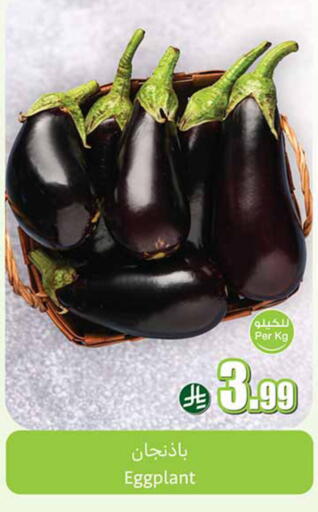 Eggplant available at أسواق عبد الله العثيم in مملكة العربية السعودية, السعودية, سعودية - تبوك