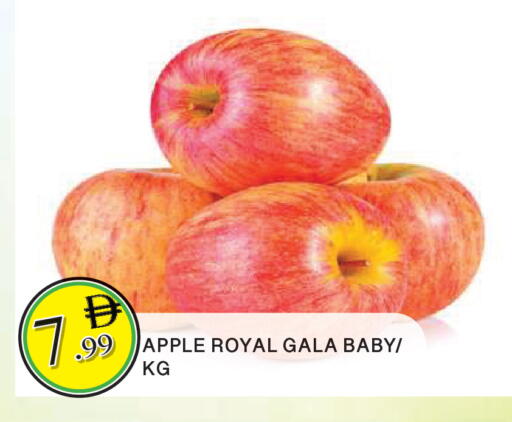 Apple available at المدينة in الإمارات العربية المتحدة , الامارات - الشارقة / عجمان