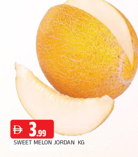 Melon from Jordan available at المدينة in الإمارات العربية المتحدة , الامارات - الشارقة / عجمان