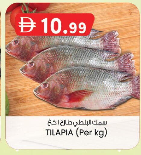 available at ك. الم. للتجارة in الإمارات العربية المتحدة , الامارات - ٱلْفُجَيْرَة‎