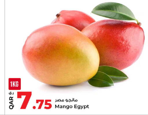 Mango from Egypt available at روابي هايبرماركت in قطر - الدوحة