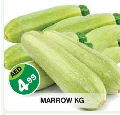 Marrow available at Baniyas Spike  in UAE - Abu Dhabi