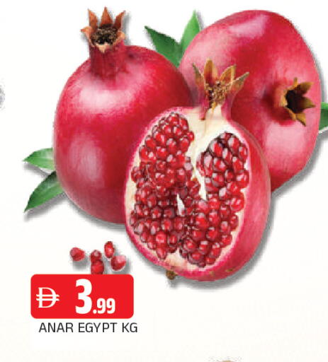 from Egypt available at المدينة in الإمارات العربية المتحدة , الامارات - الشارقة / عجمان