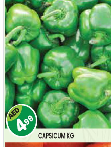 Capsicum available at Baniyas Spike  in UAE - Abu Dhabi