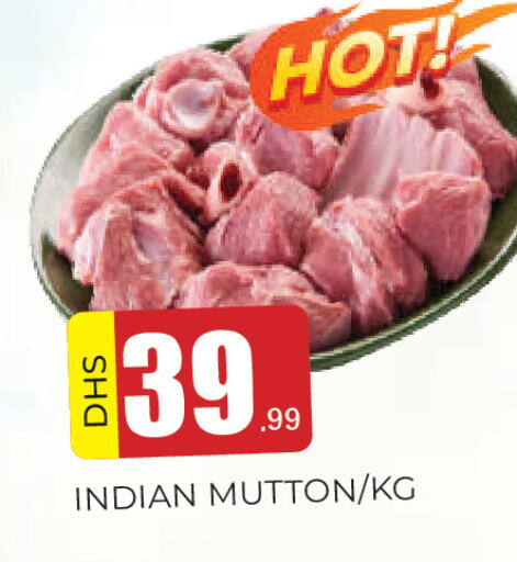available at المدينة in الإمارات العربية المتحدة , الامارات - الشارقة / عجمان