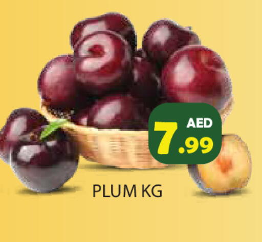Plum available at Baniyas Spike  in UAE - Ras al Khaimah