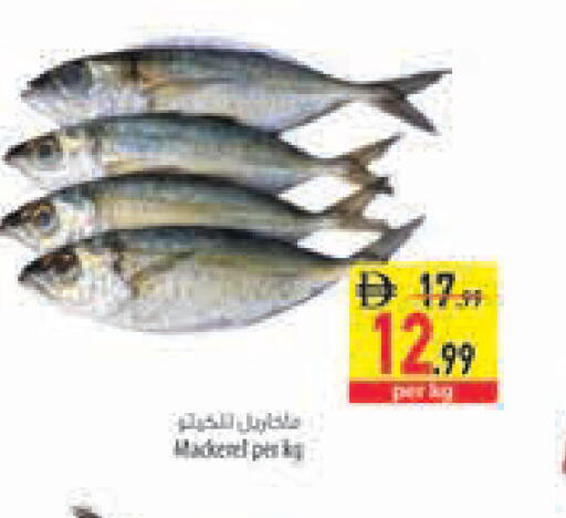 available at Safeer Market in UAE - Abu Dhabi