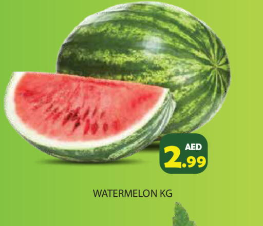 Watermelon available at Baniyas Spike  in UAE - Abu Dhabi