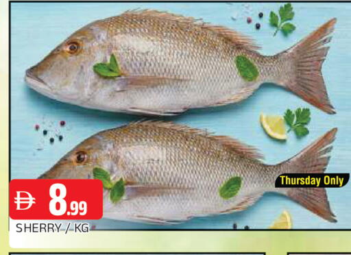 available at المدينة in الإمارات العربية المتحدة , الامارات - الشارقة / عجمان