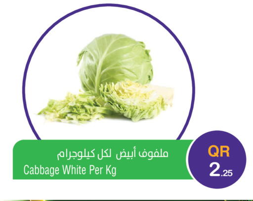 Cabbage available at ميغا مارت in قطر - الخور