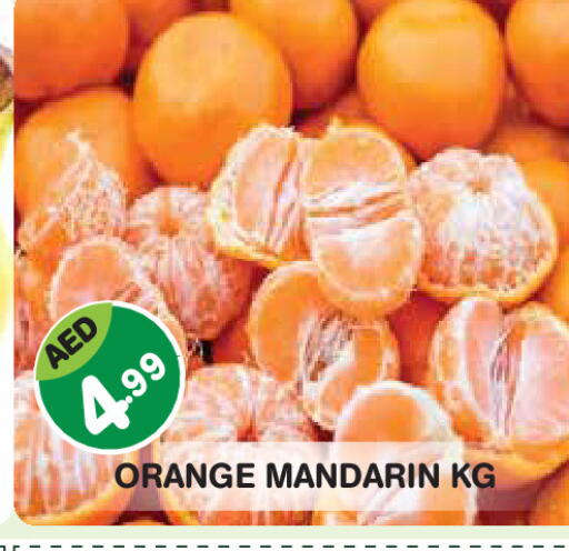 Orange Mandarin available at Baniyas Spike  in UAE - Abu Dhabi