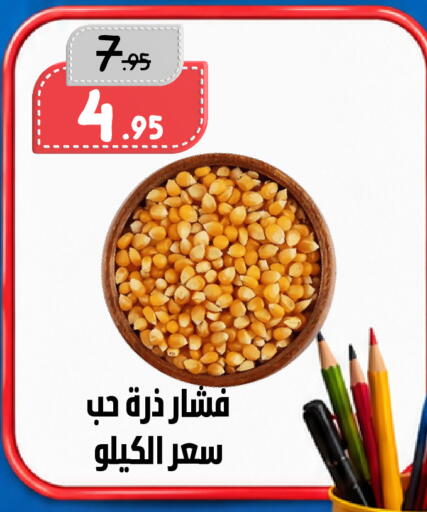 available at بن جحلان - أمام مصلى العيد in مملكة العربية السعودية, السعودية, سعودية - تبوك