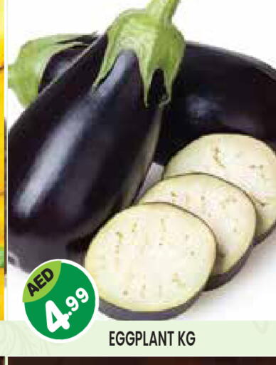 Eggplant available at Baniyas Spike  in UAE - Abu Dhabi