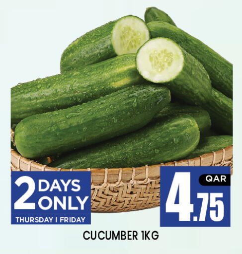 Cucumber available at نيو ستوب اند شوب in قطر - الدوحة