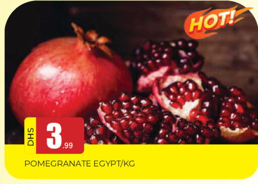 Pomegranate from Egypt available at المدينة in الإمارات العربية المتحدة , الامارات - الشارقة / عجمان