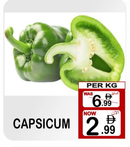 Capsicum available at Gift Point in UAE - Dubai