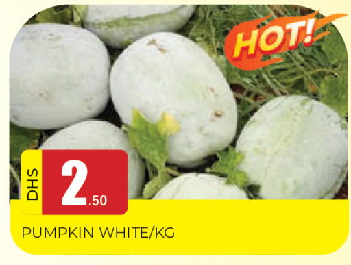Pumpkin available at المدينة in الإمارات العربية المتحدة , الامارات - الشارقة / عجمان