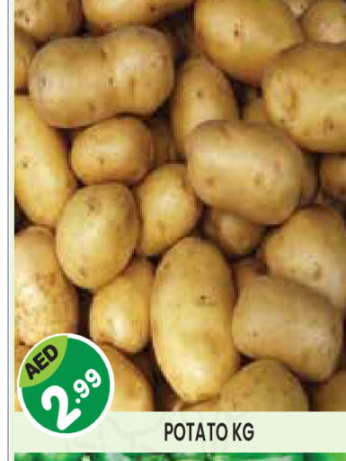Potato available at Baniyas Spike  in UAE - Abu Dhabi